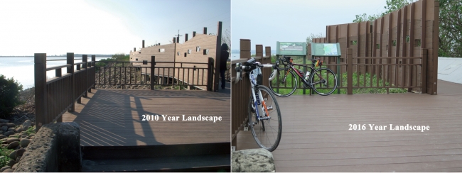 2010Year and 2016 Year Park Plascitc Flooring Landscape Project Compare